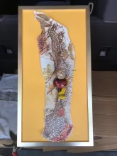 Lace and Vase